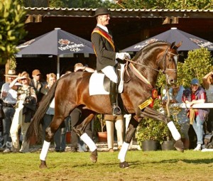 sir-donnerhall_02
