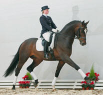sirdonnerhall