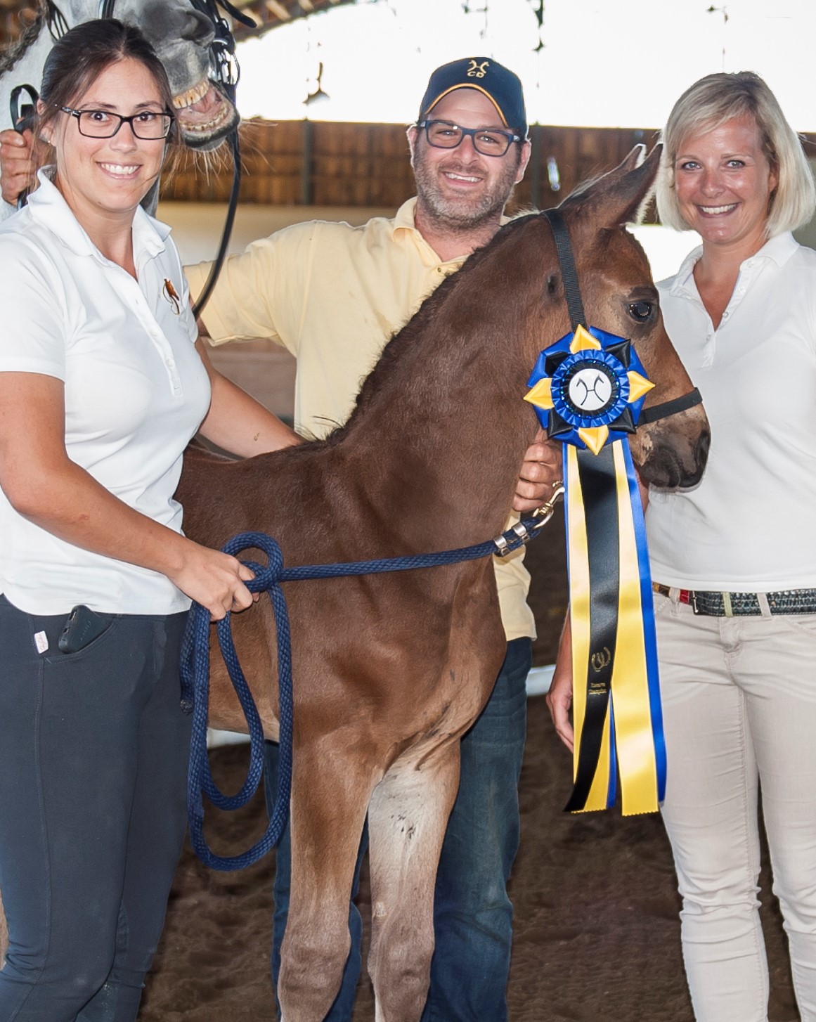 Marie Michele Gagne Grand C teau Stable