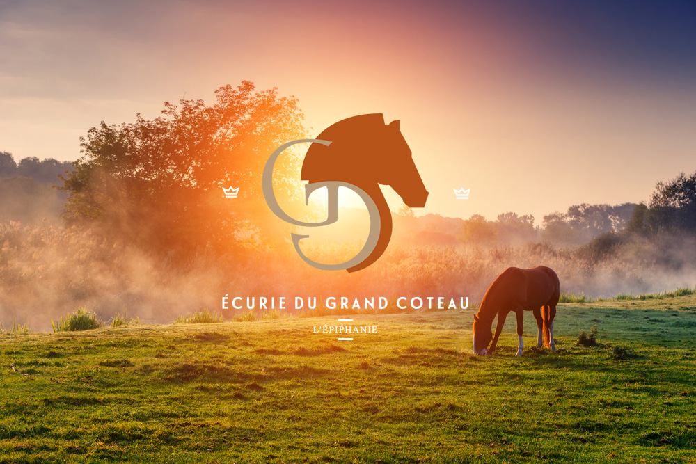 Horses for sale Grand Côteau Stable